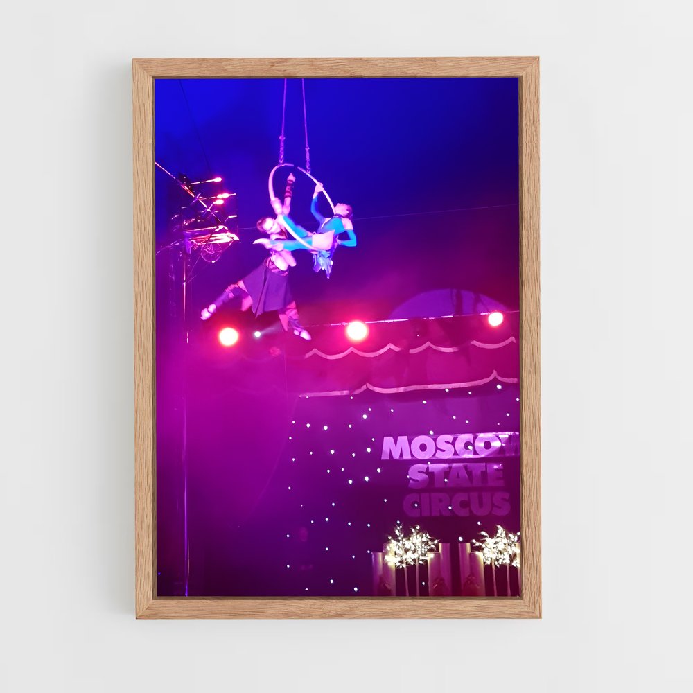 Poster L'Art du Fil – affiche Cirque (vue 4)